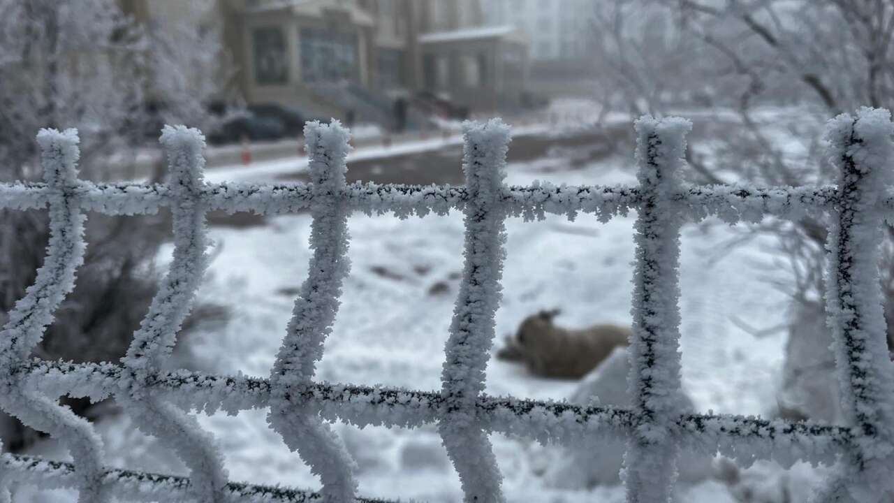 Sibirya soğukları bir ilimizde dışarıya çıkanın kaş ve kirpiklerini dondurdu 7